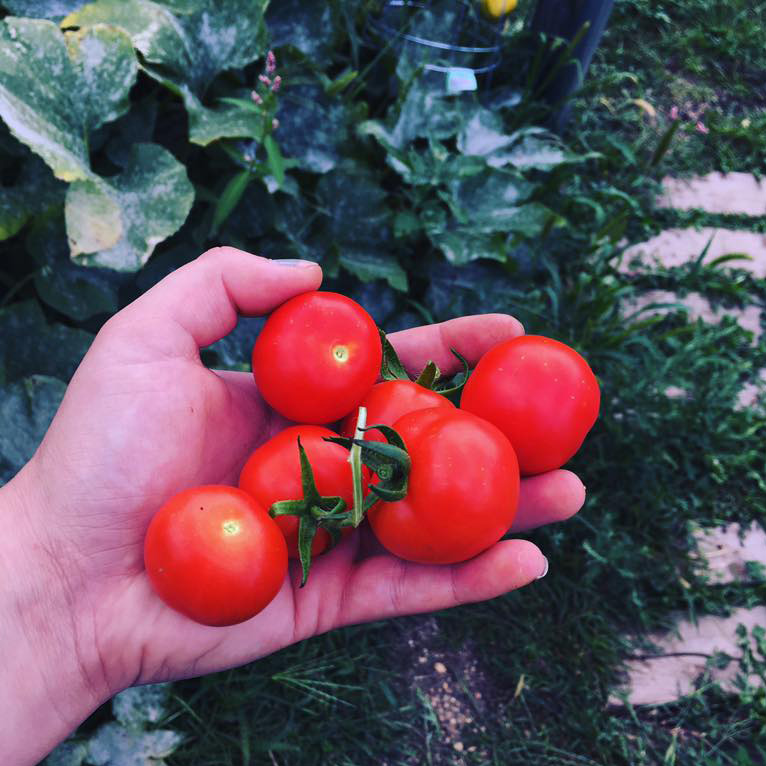 Garden at Waterloo location.