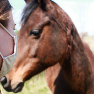 Animal Assisted Therapy is available.