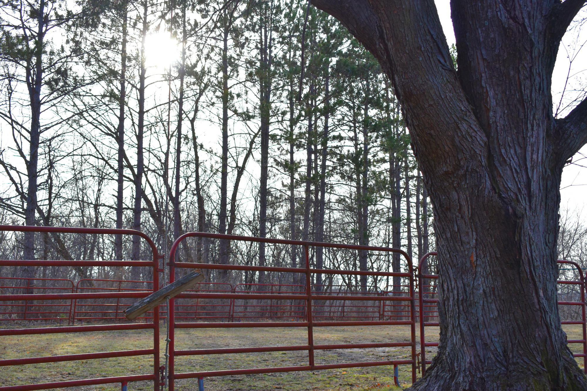 Innisfree Farm Hope Tree Counseling Services